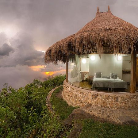 El Dorado Nature Reserve Villa Minca Bagian luar foto